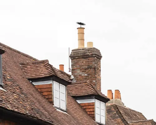 chimney sweep Astley